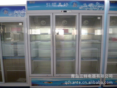 济南小鸭与青岛三特电器联手 海雪立式展示冰柜SC-1008评测与外观赏析